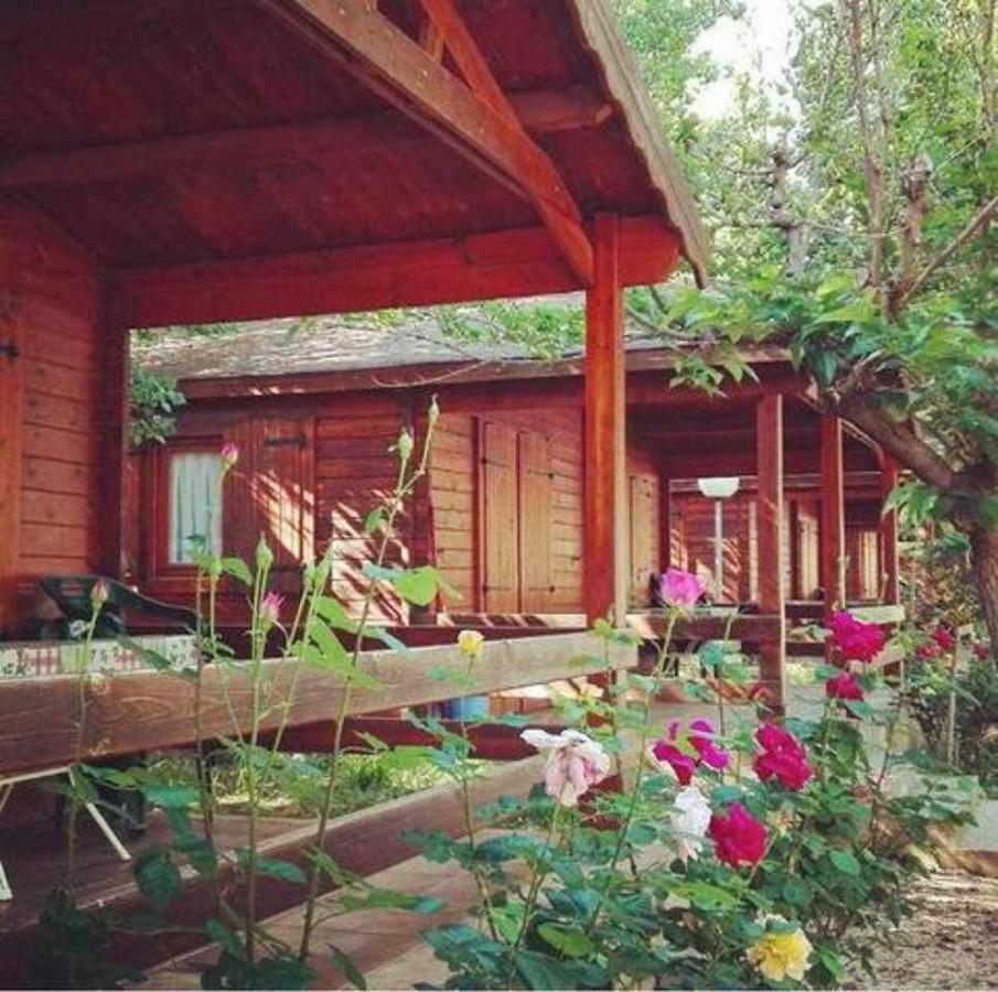 Bungalow & Camping Fuente De Regrustan Graus Eksteriør bilde